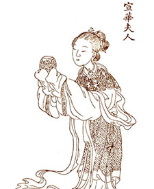 宣华夫人与杨坚：一段传世的爱情故事