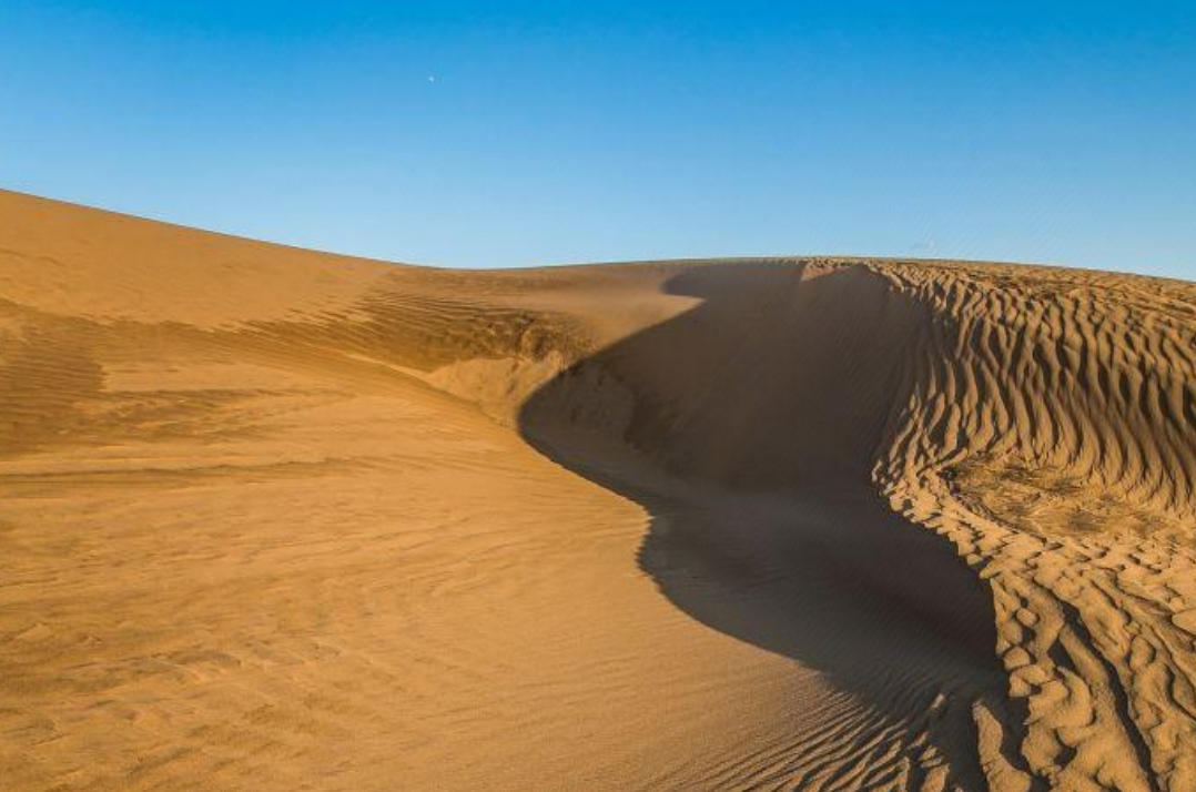 亡国之器指什么生肖  词语解释重点解