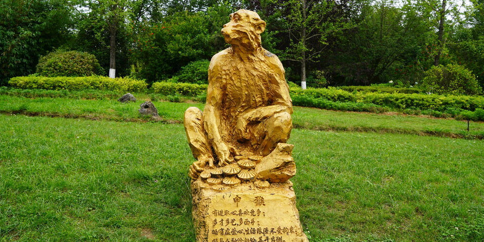 绿林好汉抓盗贼,神豪鬼哭惊天地指打个最佳精准生肖词语解释释义