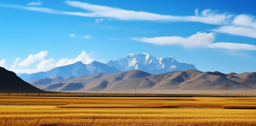 探骊获珠是指什么生肖,作答词语解释梳理