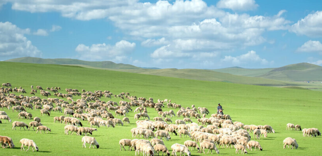 源泉万斛是代表最佳生肖 释义成语精选解释