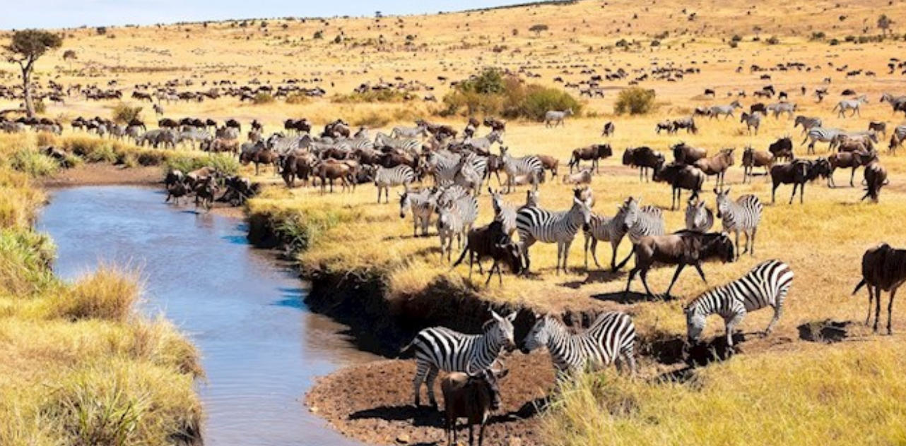 探骊获珠代表哪一个是什么生肖，落实词语释义解释