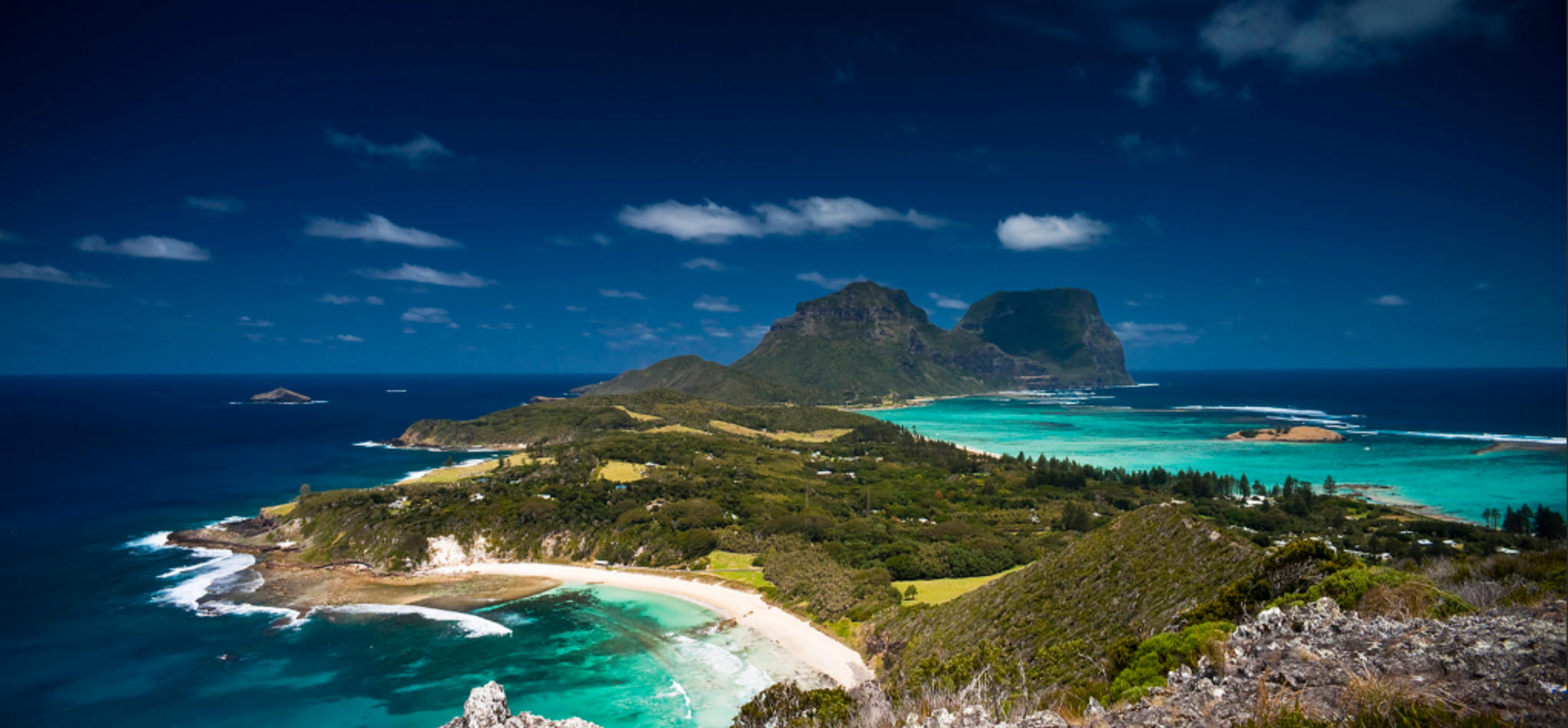 杳如黄鹤指代表是打一最佳准确哪个生肖  哪一个词语精选解释释义