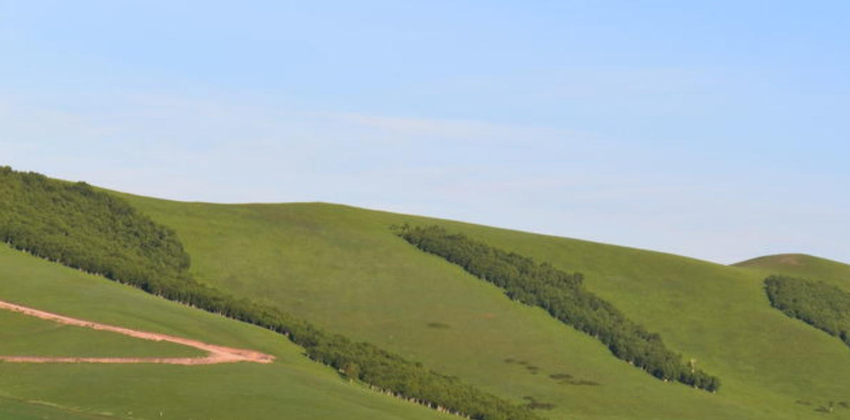 马瘦毛长打一准确生肖,词语解释落实释义