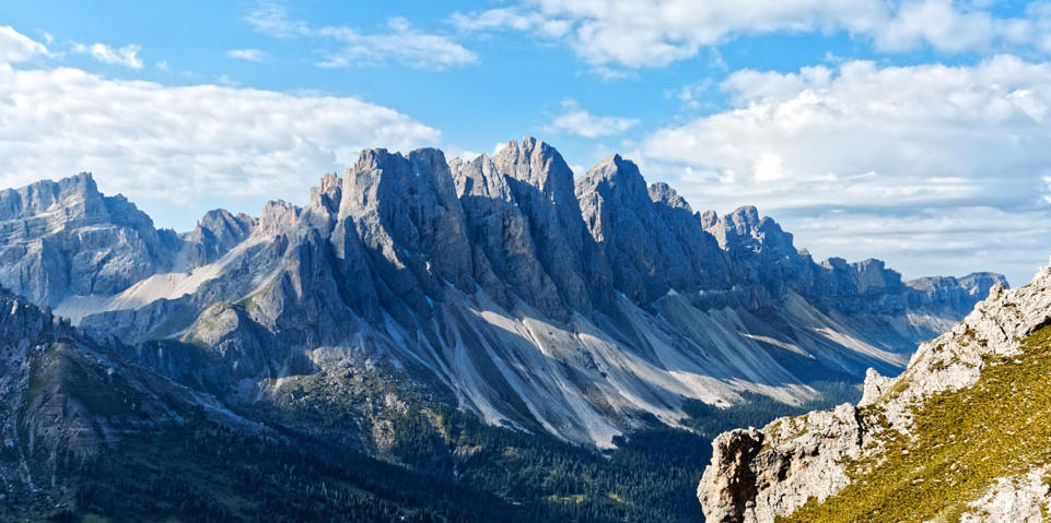 今期生肖找太子,三八二四庆同期猜打一准确生肖,作答词语解释梳理