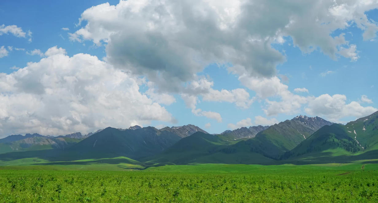 前路茫茫无止境，鞭笞一催过险关代表是指什么生肖，释义最佳成语解释!