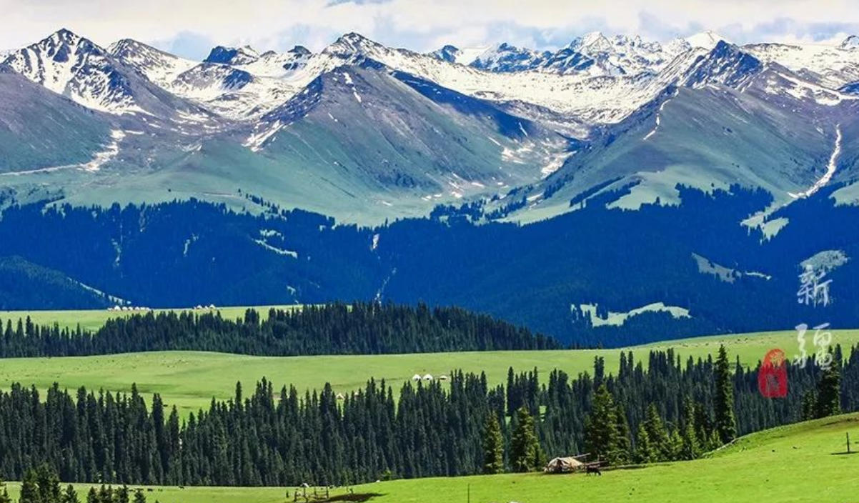 “暝鼓才终复晓鸡”指代表是打指一最佳准确生肖  最新精准词语解释释义 解释释义成语解读