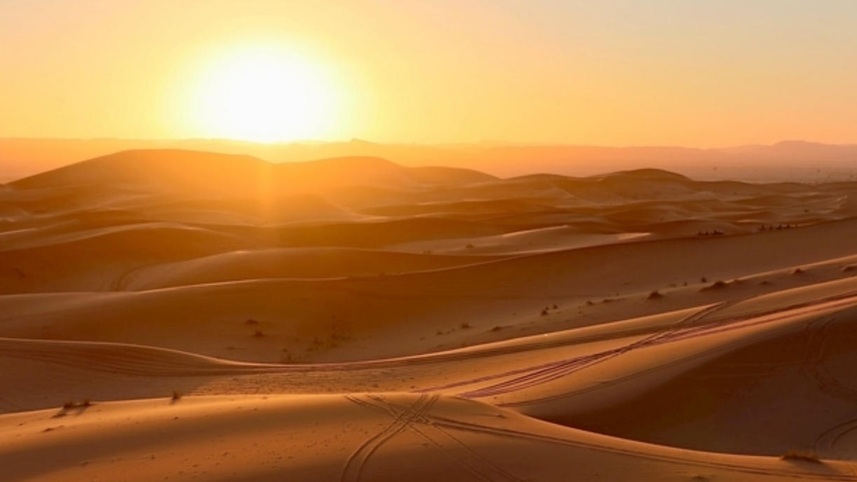 最佳释义独家解释：爽得心神便骑鹤，君叫闻天我唳天代表什么生肖