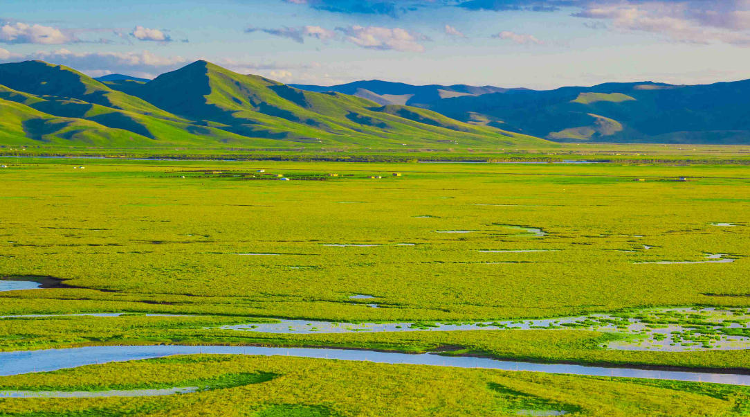 喜眉笑脸指代表是什么生肖  释义最佳成语解释