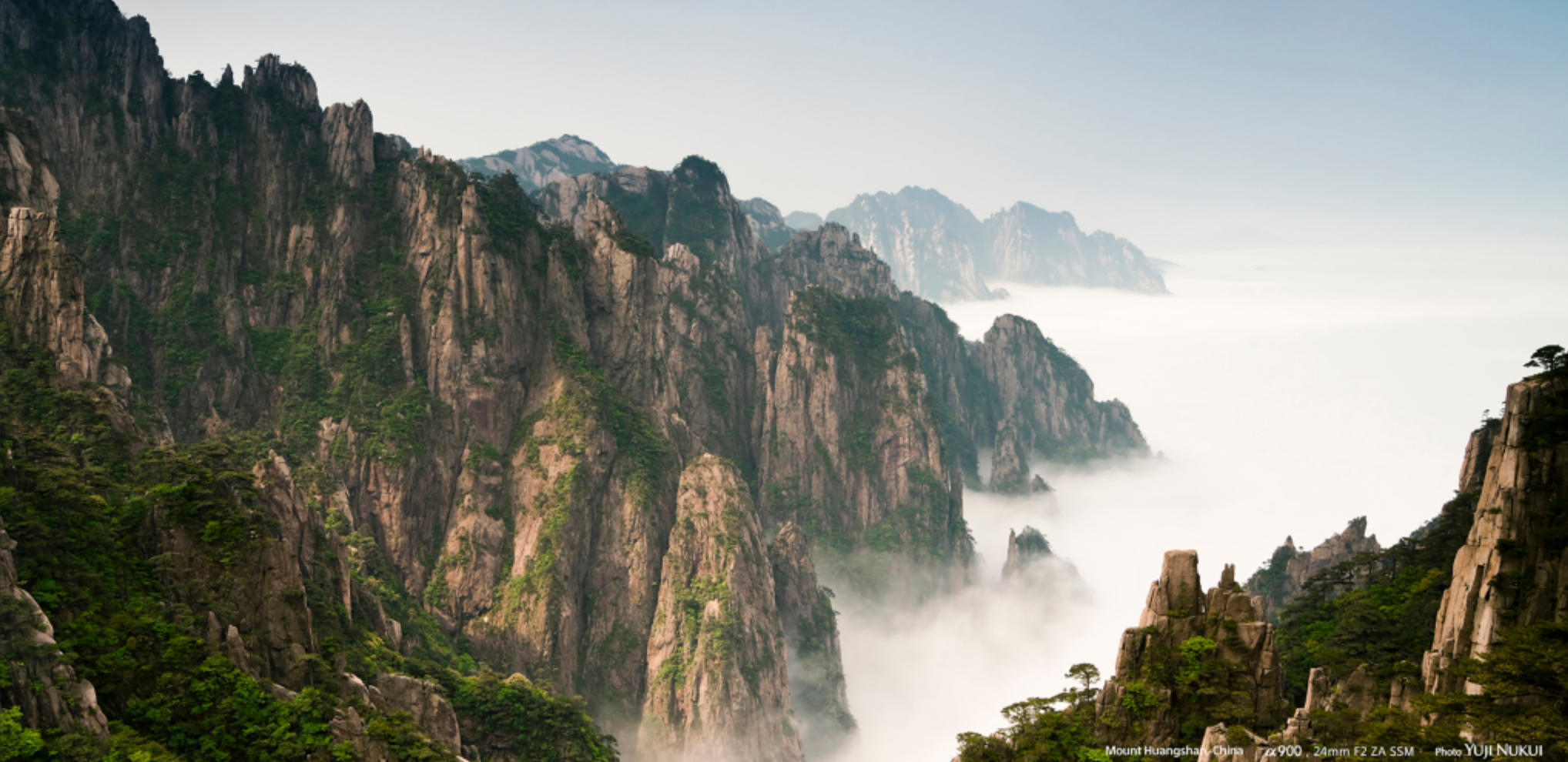 两虎相斗的最佳生肖什么，解释义最佳成语解释!
