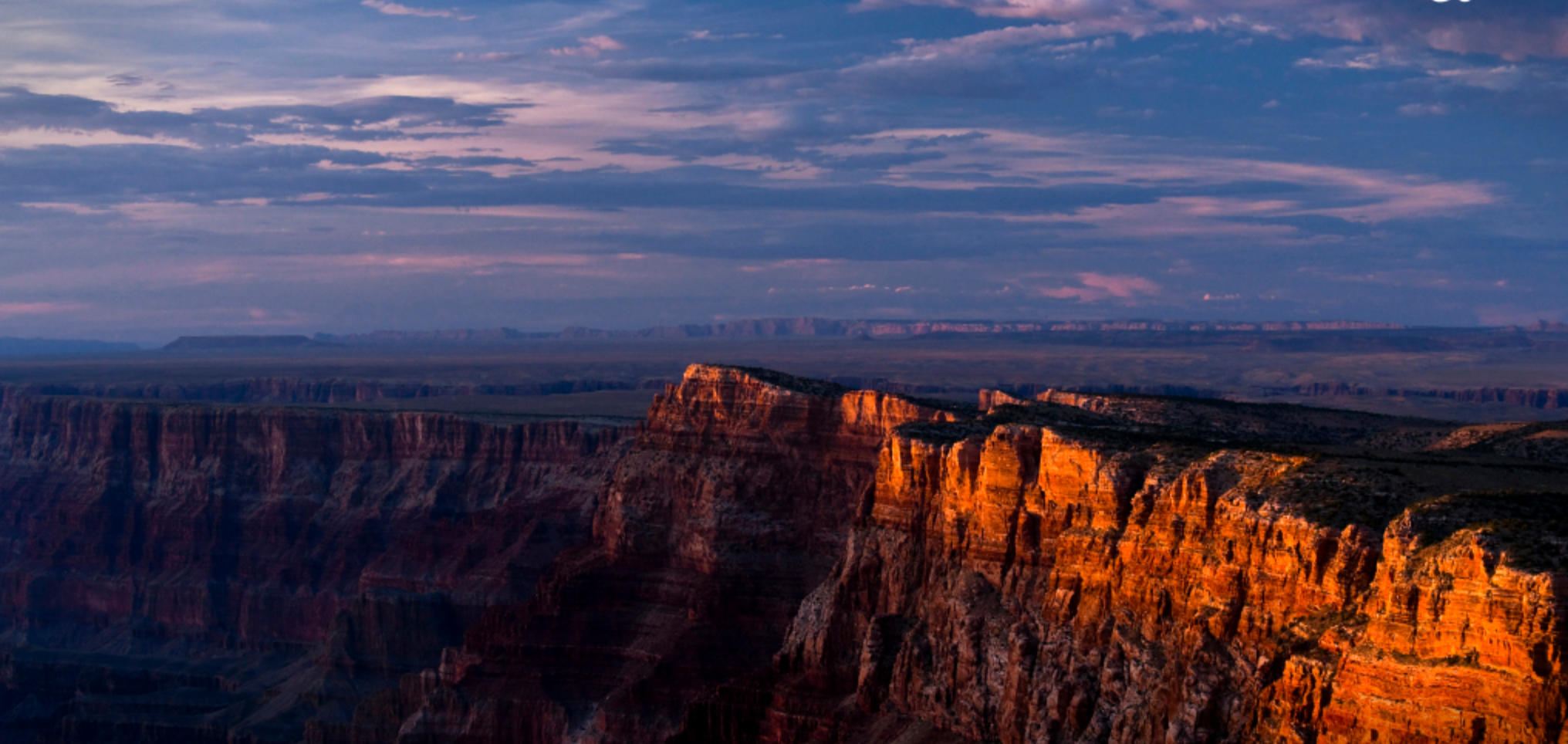 眉飞色舞是什么生肖 打一精准最佳生肖 解释释义成语解读