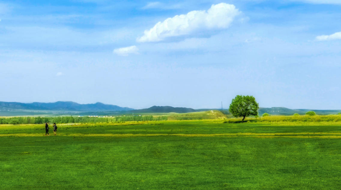 挨冻受饿指什么生肖，经典词语释义解释