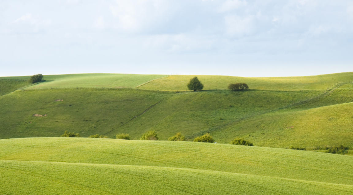 正人君子代表是最佳生肖，答案诠释解释落实