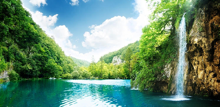 空谷白驹指什么生肖，准确解读词语释义