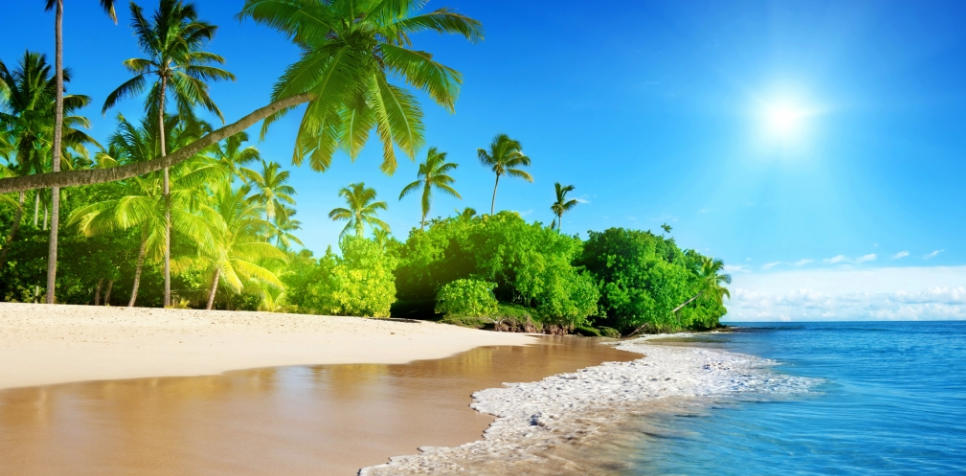 今期龙狗羊出特，独於静处惬幽娴指最佳是什么生肖  成语最佳释义解析