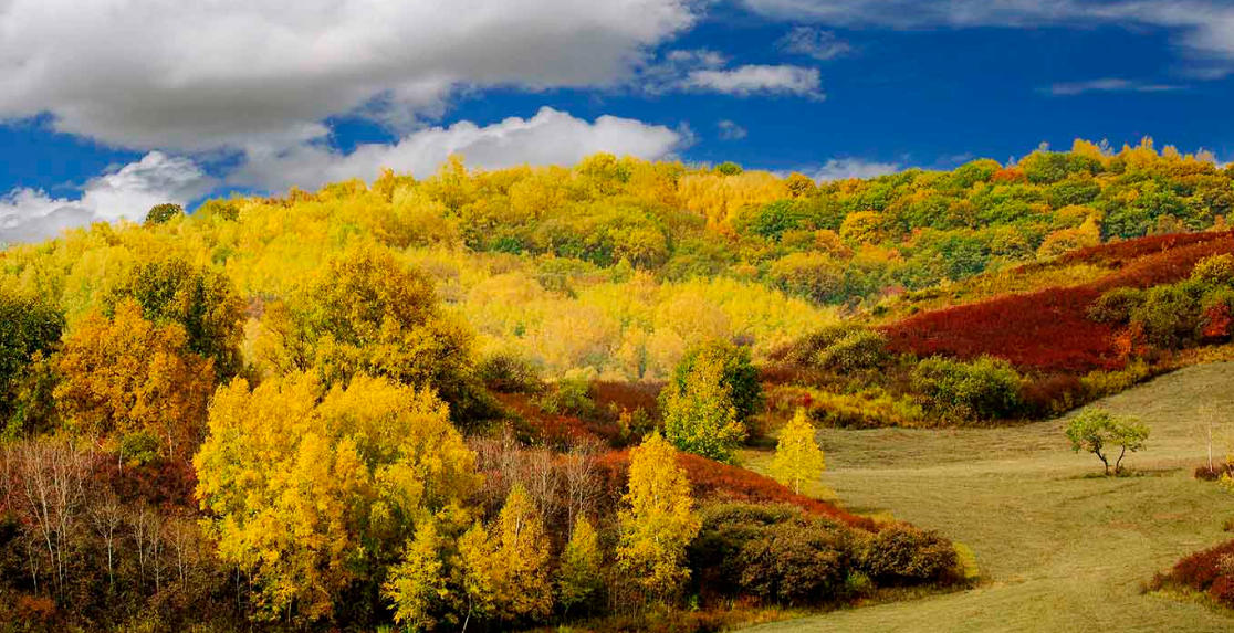 退，退休即中特。八只手。东边）指是什么生肖 最佳谜底落实解释