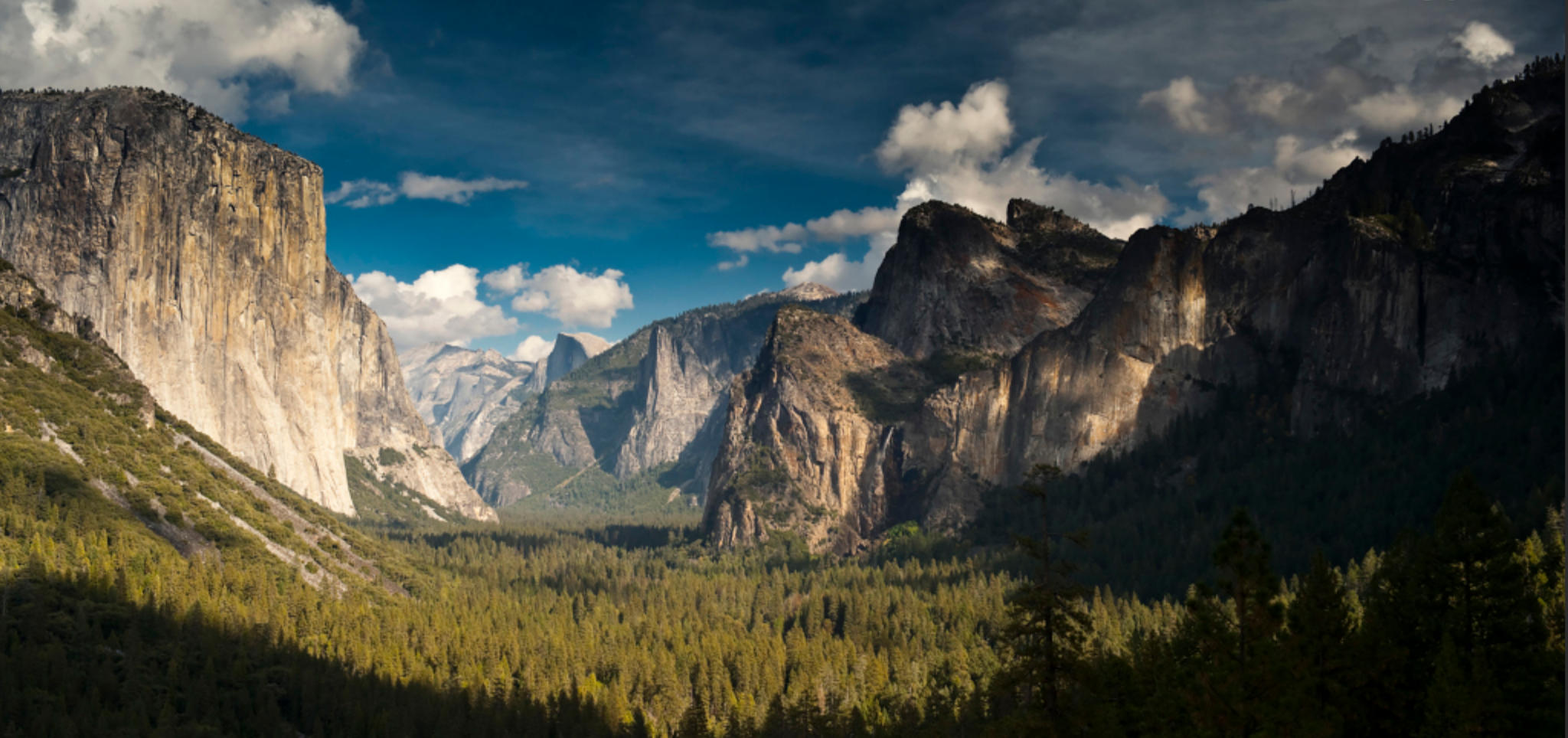 一阳渐近门多喜,才睡依前梦见君指代表是什么生肖 落实解释释义词语