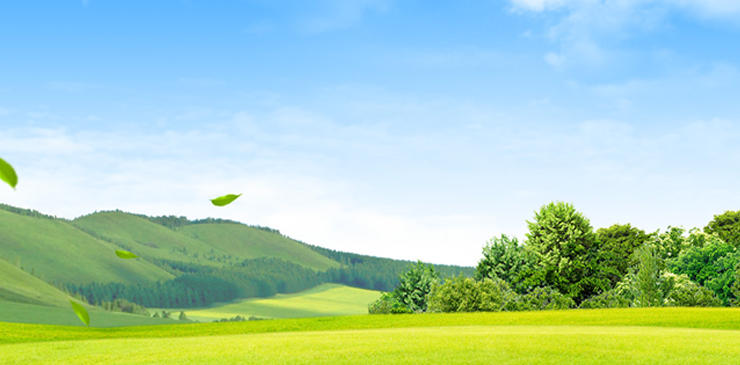 “杳如黄鹤”猜打个最佳准确精准生肖 指代表什么生肖  词语精选作答解释释义