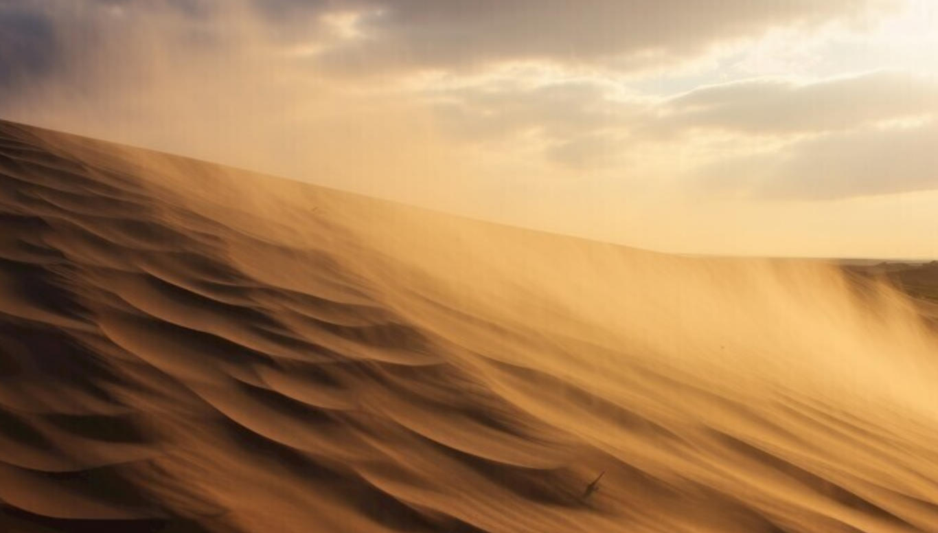 前路茫茫无止境，鞭笞一催过险关精准是指代表打猜哪个准确生肖  谜团精选释义词语详解