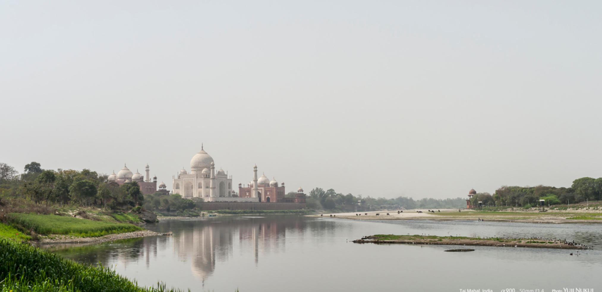 志坚行苦指是什么生肖 词语解释作答落地 精选词语释义 详细解释