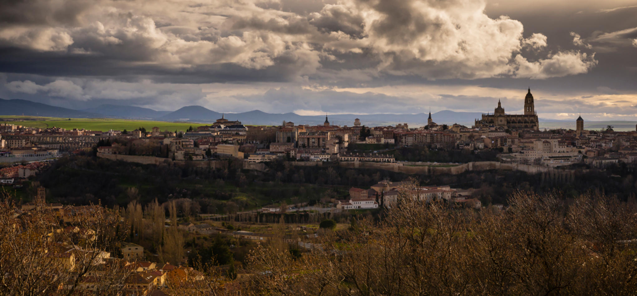 艺高胆大代表是指什么生肖,词语解答解析落实