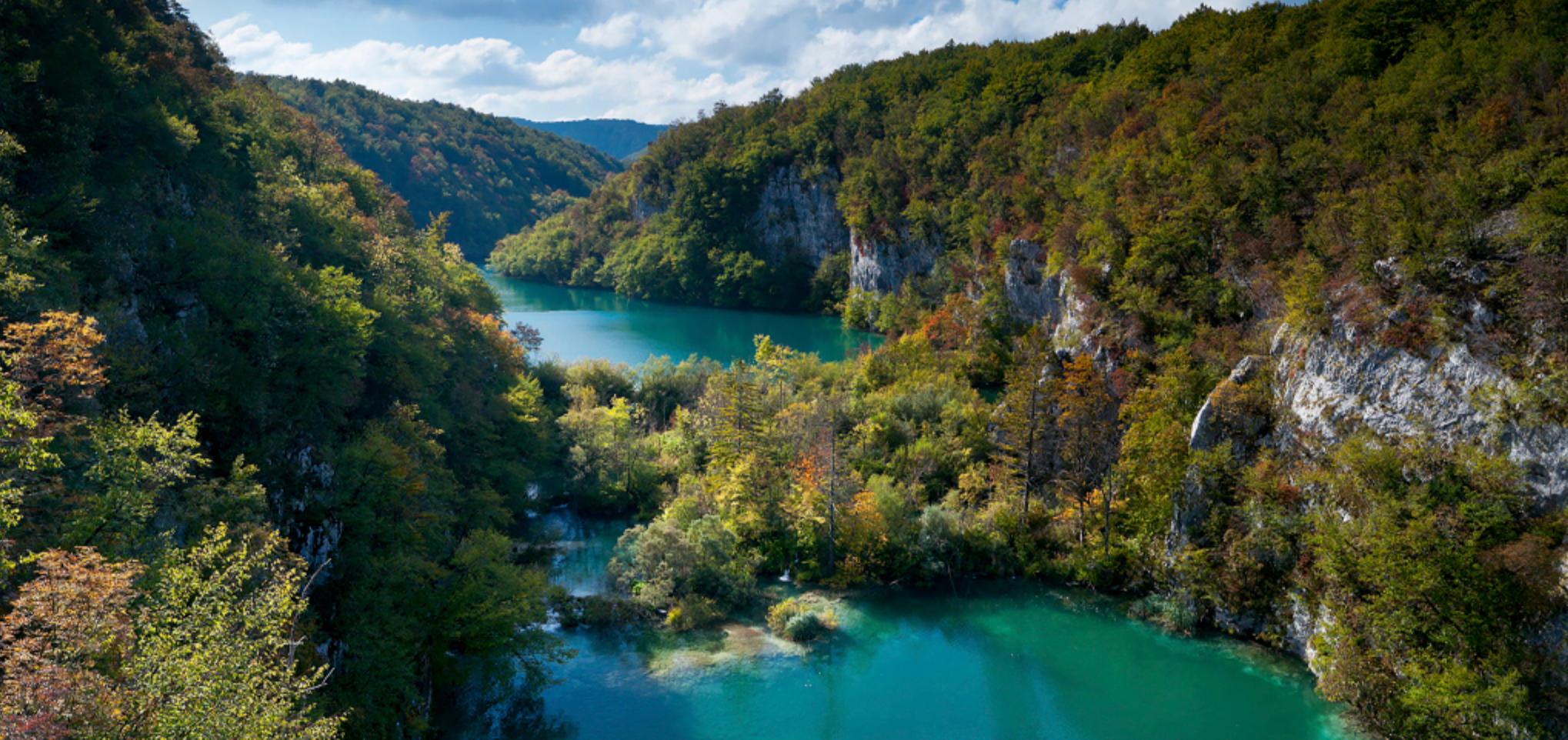昏定晨省是什么生肖 打一最佳阐述词语揭晓释义