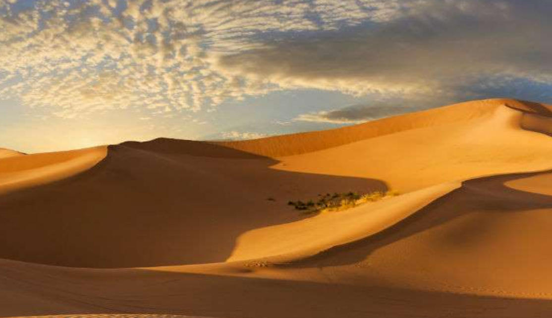 清远鸡，青菜一份是什么代表指打一准确生肖  落实词语含义阐述答解  成语解释落实释义