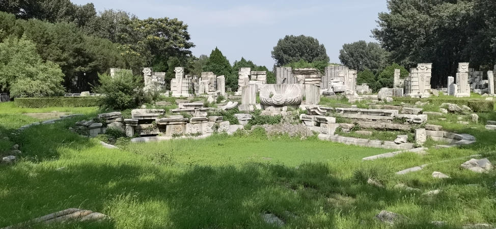 欲钱看乌龟打架指代表是打猜一最佳准确生肖数字 词语精选解释释义