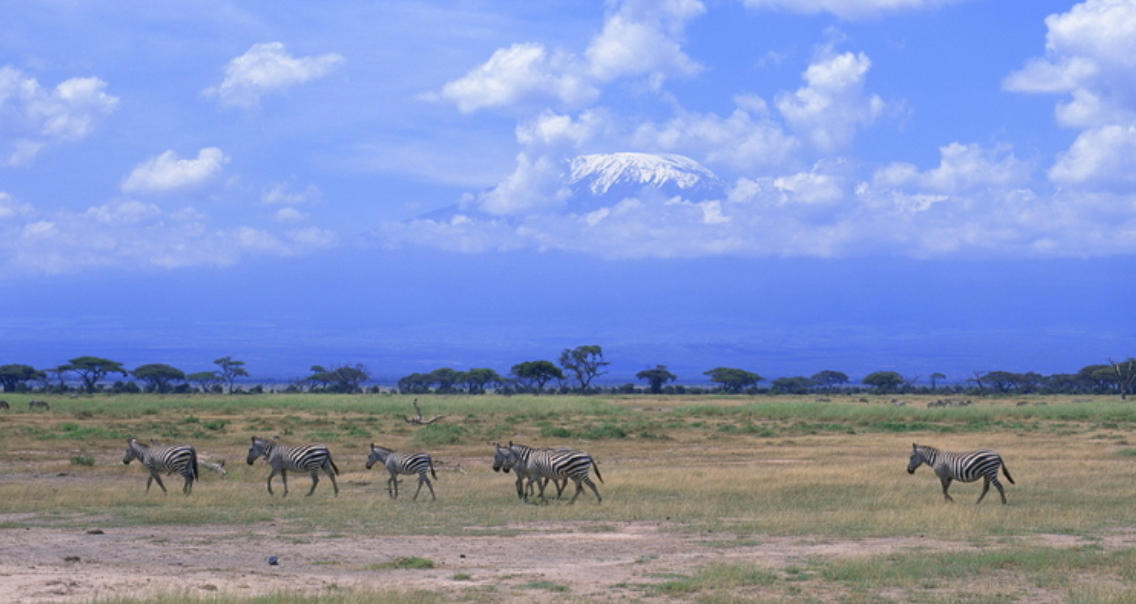 眉飞色舞指什么生肖，释义解释词语落实  精粹词汇注解与探析
