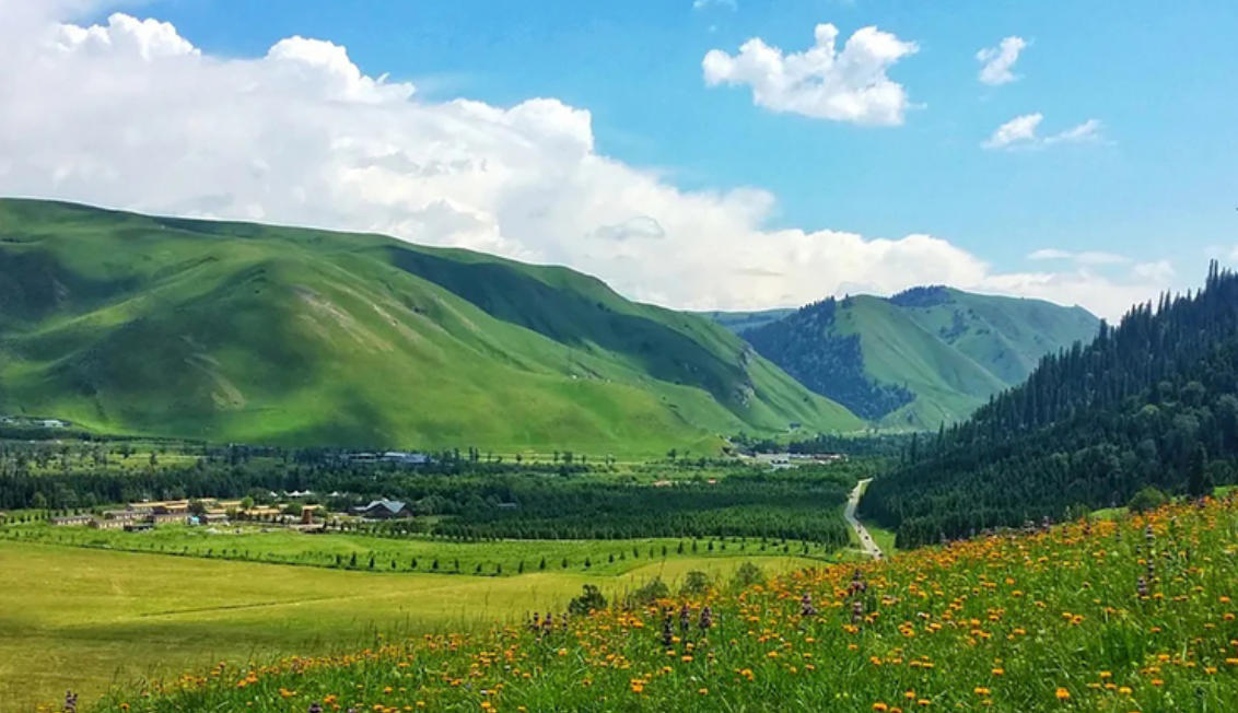 欲钱看百川归海是指哪个生肖，精选落实解释