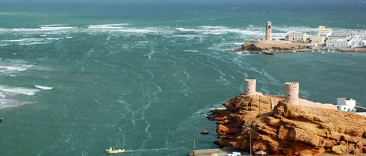 大起大落是什么生肖，代表什么生肖,猜打一最佳成语释义解释