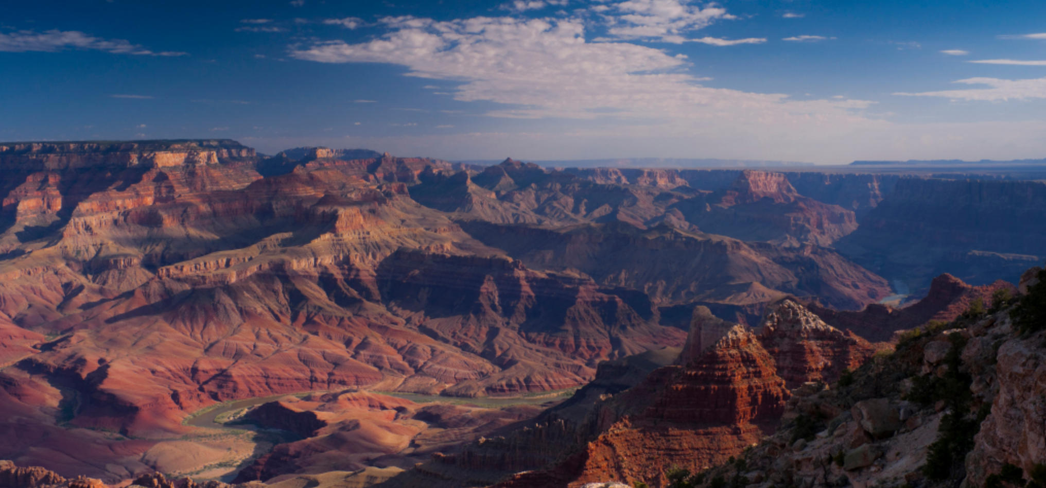 正人君子打一精准最佳生肖,解释释义成语解读！