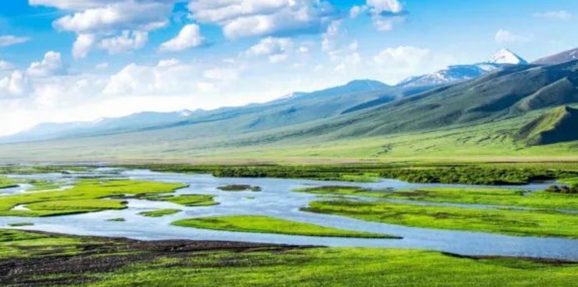 “亡国之器”是什么生肖 落实词语含义阐述答解