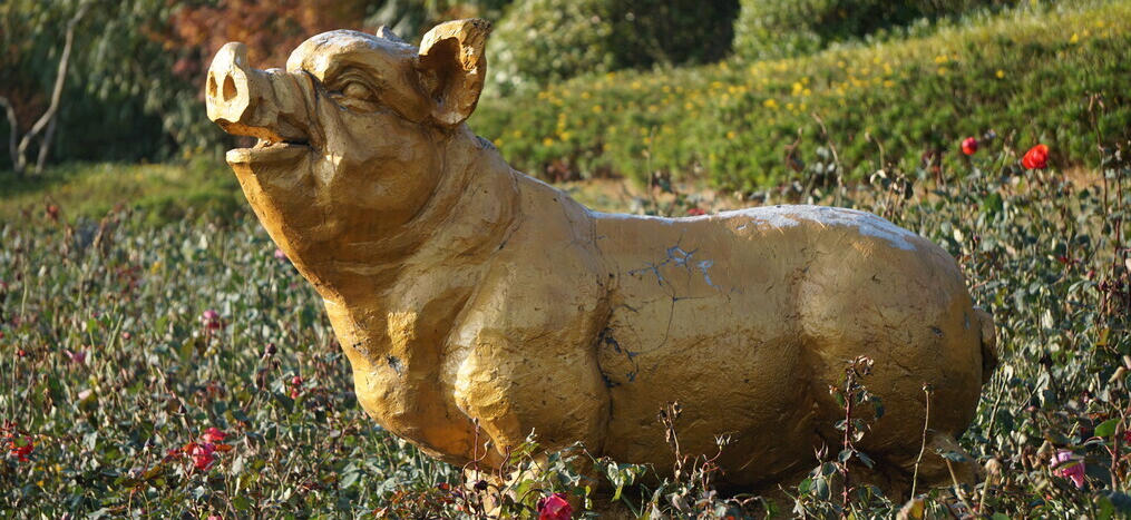 事无大小,寻根究抵。追根溯源是前提是猜指什么生肖 释义解释全面落实