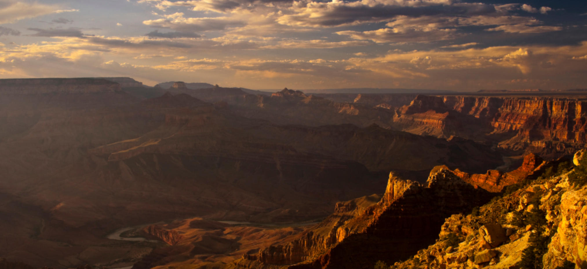 喧嚣一时指什么生肖 谜语释义赏析解释 最佳谜底落实解释