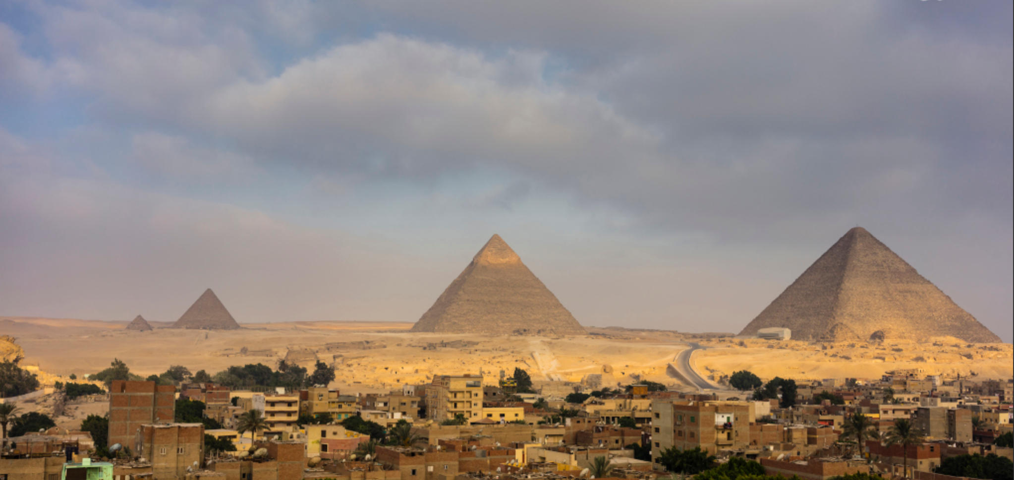 鸡虫得失无了时，动时思静暑思寒代表哪一个生肖，全面解答解释落实