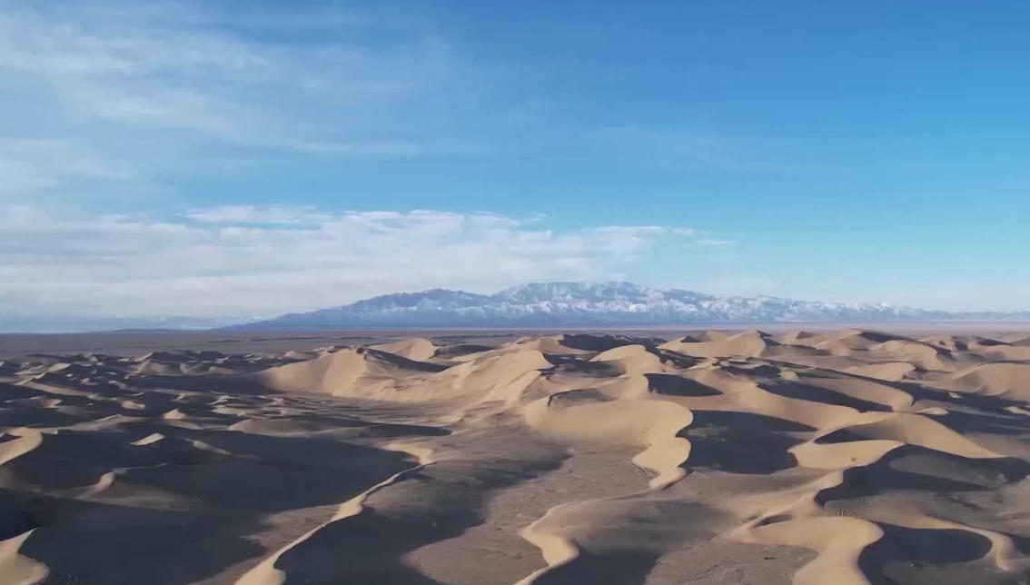 驽马十驾指一正确生肖是什么,仔细诠释解释落实