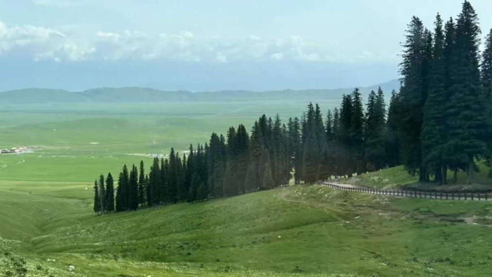 候家富贵卖红莲，十二华载云雨来打一生肖代表什么，仔细诠释解释落实