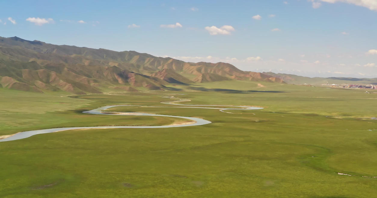 镂金错彩打一最佳准确生肖 释义作答词语解释赏析  详细解答落实