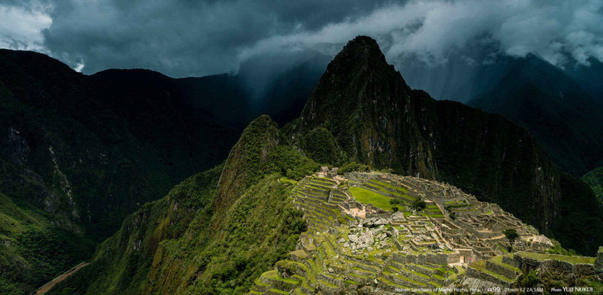 空谷白驹是指什么生肖，词语解释重点解