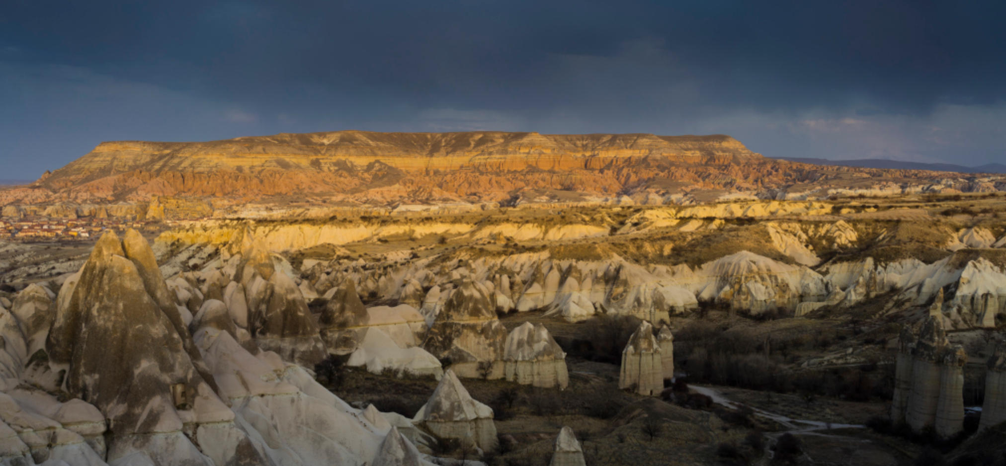 “截鹤续凫”是什么代表指打一准确生肖，落实生肖释义指南 谜团精选释义解释