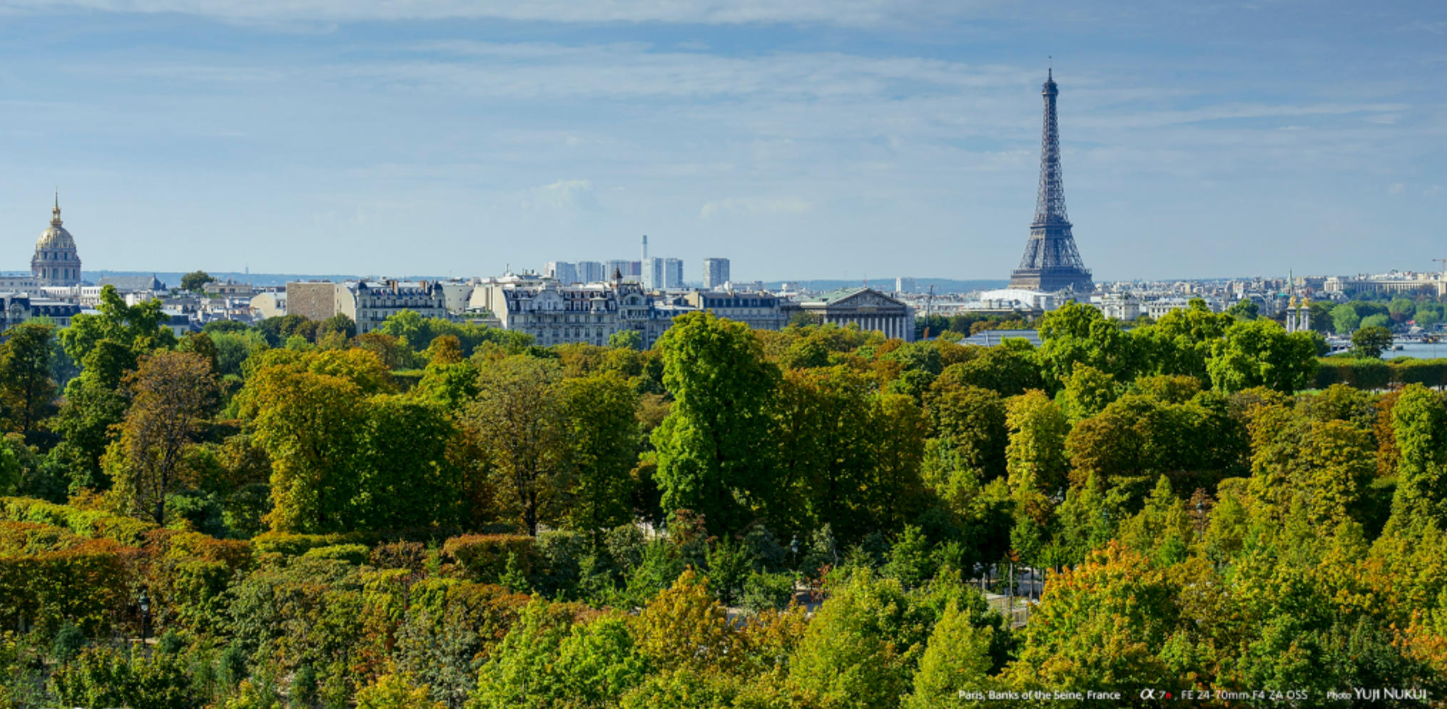轻盈灵动，挑战自我。云何相遇酒边时。连蹦带跳，憨态可掬。中有孤丛色似霜指打是什么生肖，最佳释义解析成语
