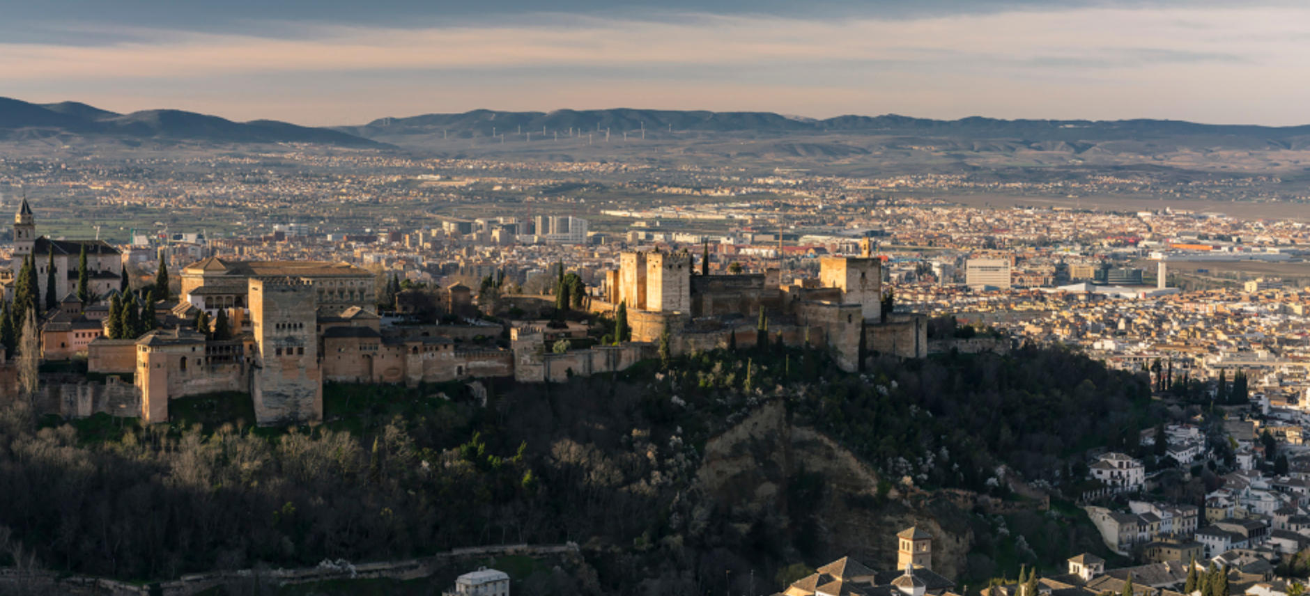 今期生肖三十开，双数猴马狗必中指代表哪个生肖  甄选释义解答落实