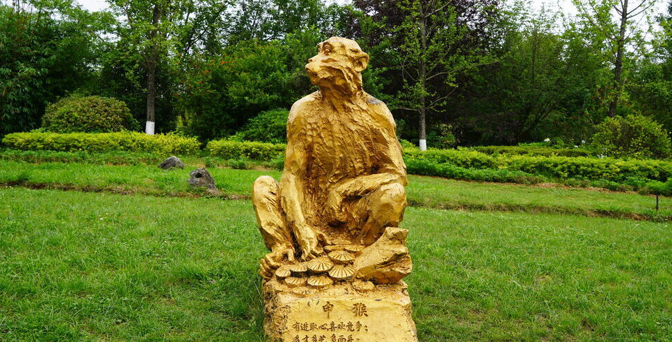 正人君子是什么生肖，确定落实释义作答