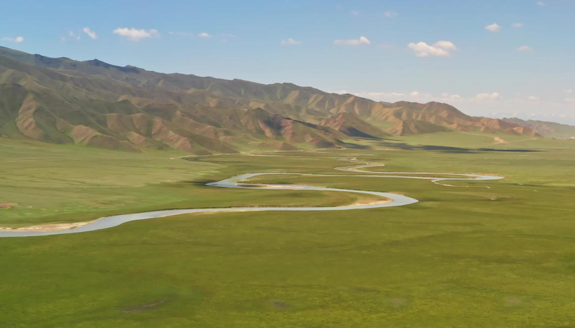 眉飞色舞指什么生肖，普遍词语完美落实