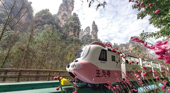 孝笋能抽帝女枝打一最佳什么哪个生肖,答案解析落地落实