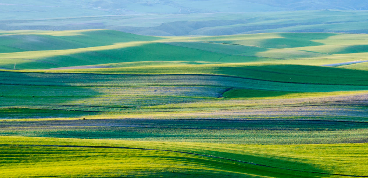 镂金错彩猜打指指一最佳准确生肖数字动物  词语精选解释释义 解释释义成语解读