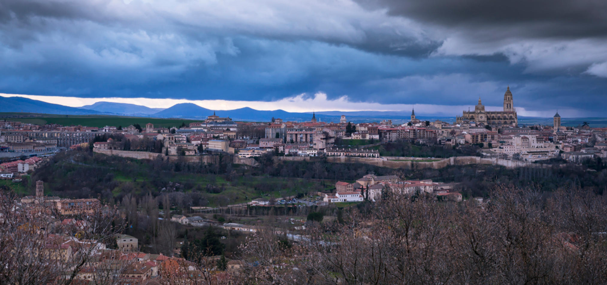 今期生肖找太子，三八二四庆同期猜打一准确生肖，落实词语释义解释