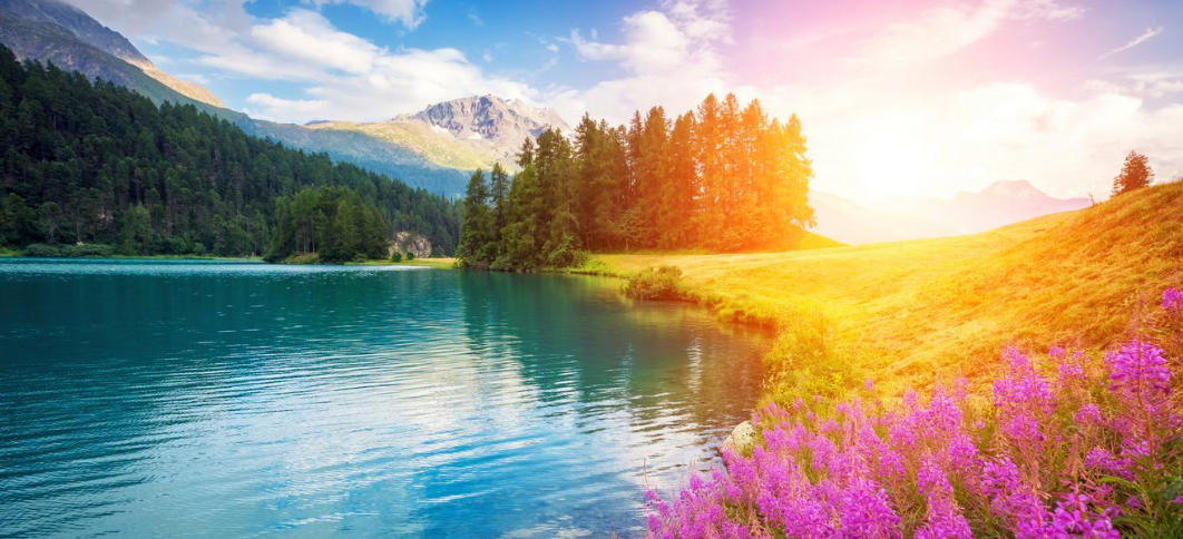 解衣卸甲指什么生肖，成语释义诠释解读