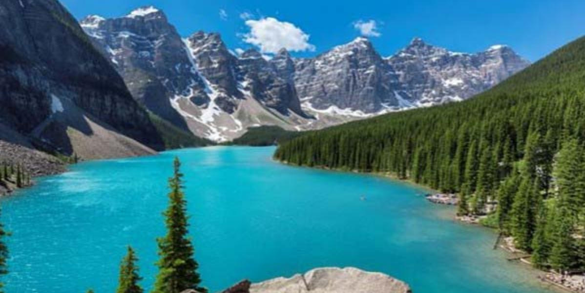 “举手投足”打一最佳准确生肖，核心词汇释义剖析与阐释